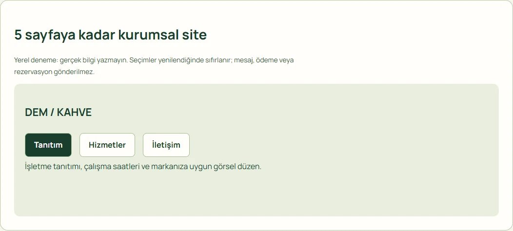 5 sayfaya kadar kurumsal site
